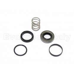 Servizio REVISIONE ATTUATORE FRIZIONE Evolution Italy