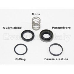 Servizio REVISIONE ATTUATORE FRIZIONE Evolution Italy