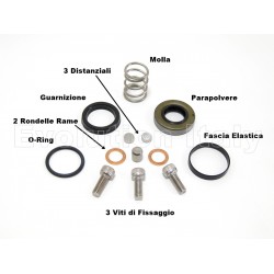 Servizio REVISIONE ATTUATORE FRIZIONE Evolution Italy per DUCATI