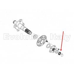 DADO Ruota Posteriore per DUCATI HYPERMOTARD 821 Lato Corona DADO Ruota Posteriore per DUCATI HYPERMOTARD 821 Lato Corona