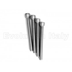 KIT VITI ACCIAIO INOX A2 M10x100x1.25