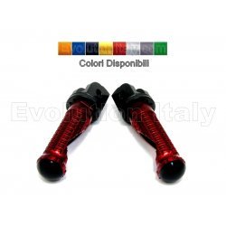 Poggiapiedi Anteriori per BMW F 800 R